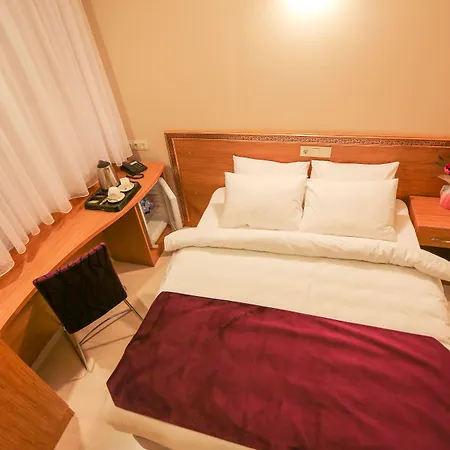 ホテル Grand Airport 3*