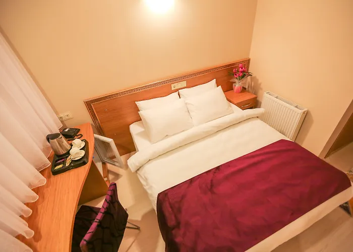 Отель Grand Airport