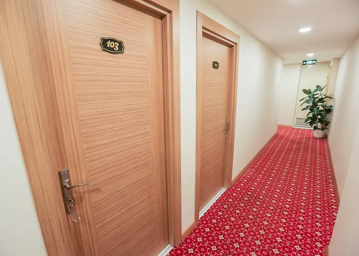 Grand Airport 3* Стамбул